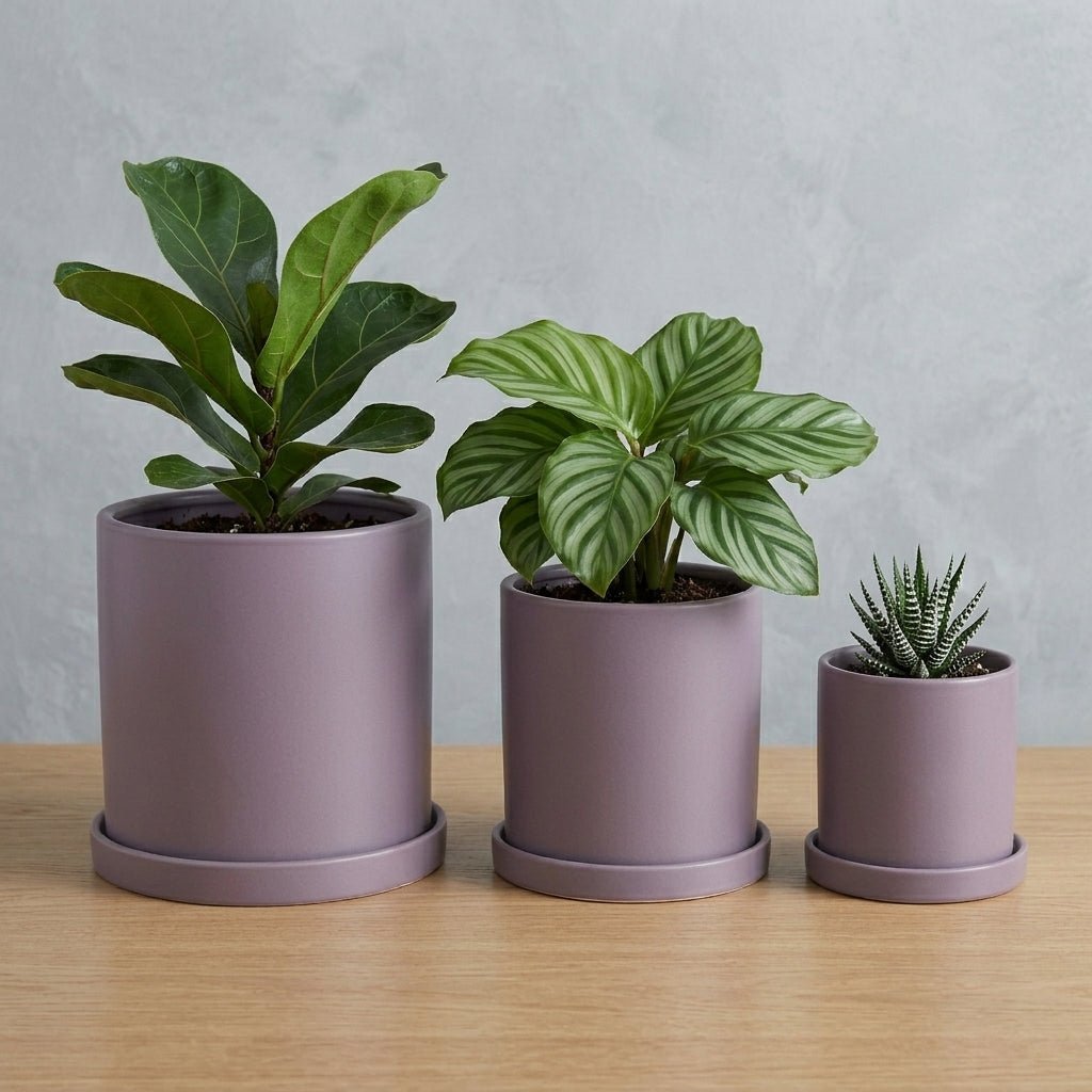 Cylindrical Modern Plant Pot - Plant Pot - Purple - Oaksoho