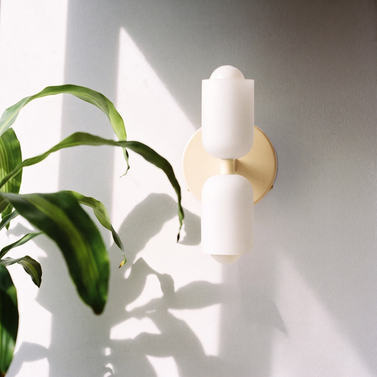 Double Head Wall Lights with Frosted Glass Globes - Wall Light Fixtures - Cream - Oak Soho