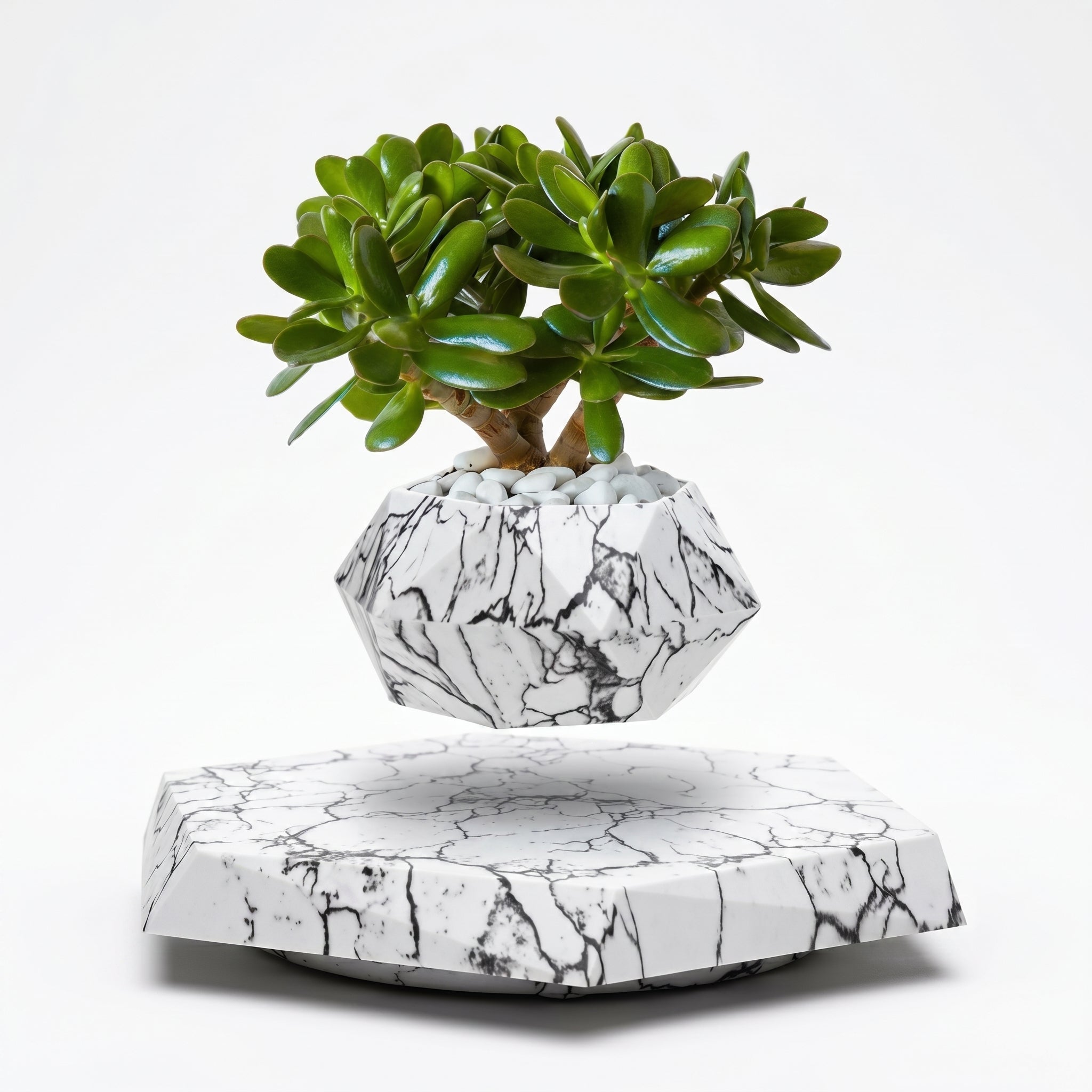 Floating Magnetic Flower Pot with Decorative Base - Vases - Marble - Oaksoho