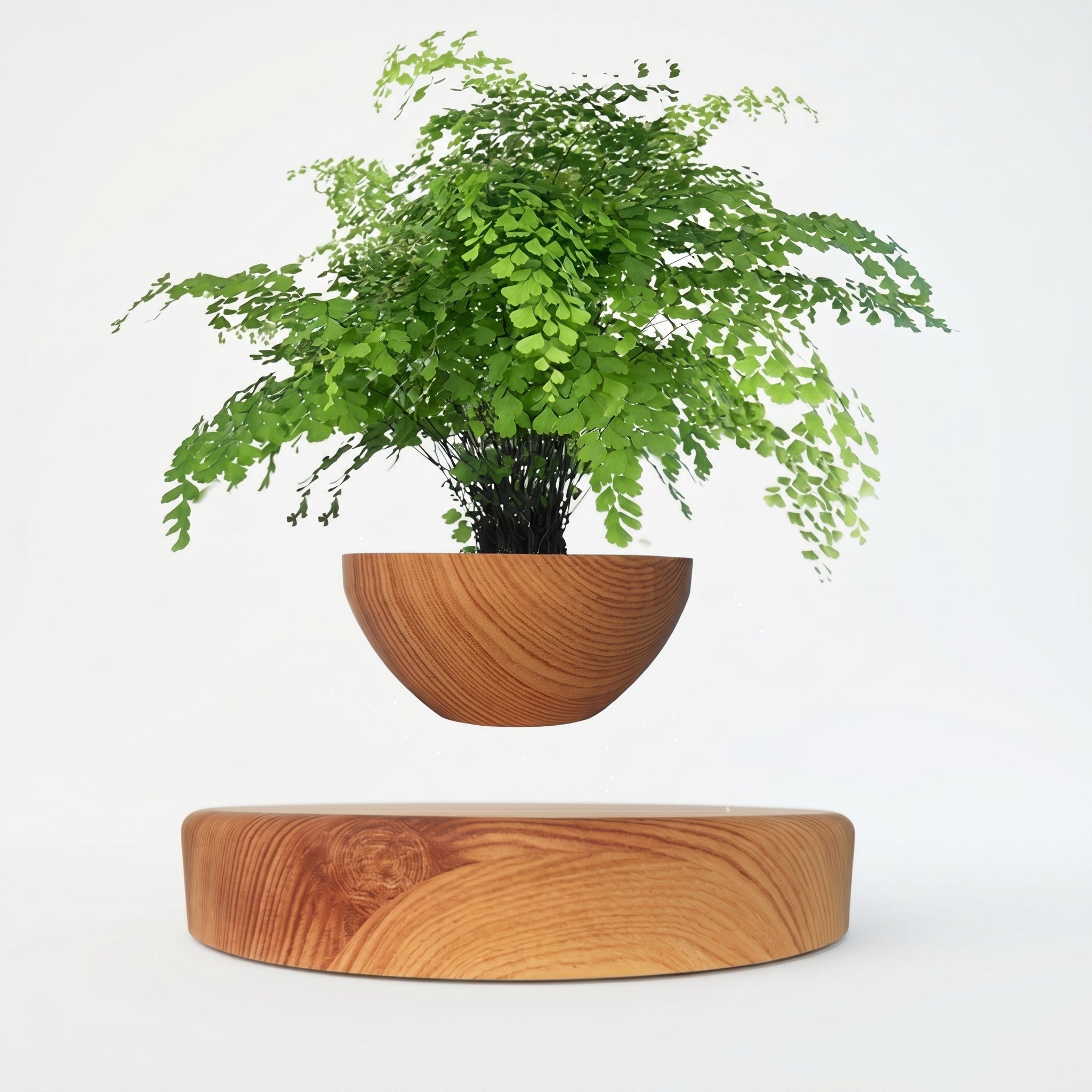 Floating Magnetic Flower Pot with Decorative Base - Vases - Wood - Oaksoho