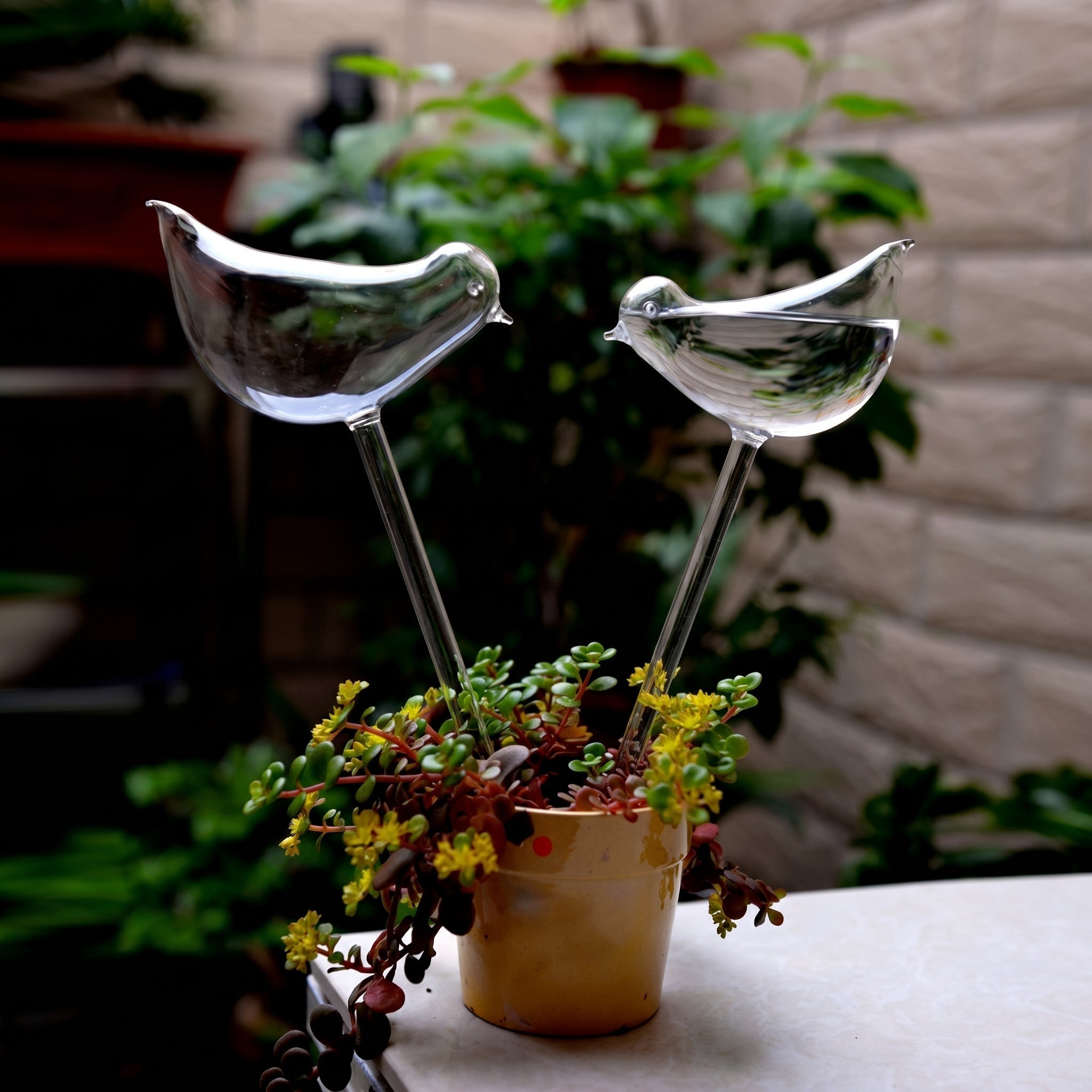 Glass Self - Watering Figure for Houseplants - Self - Watering - Bird - Oaksoho