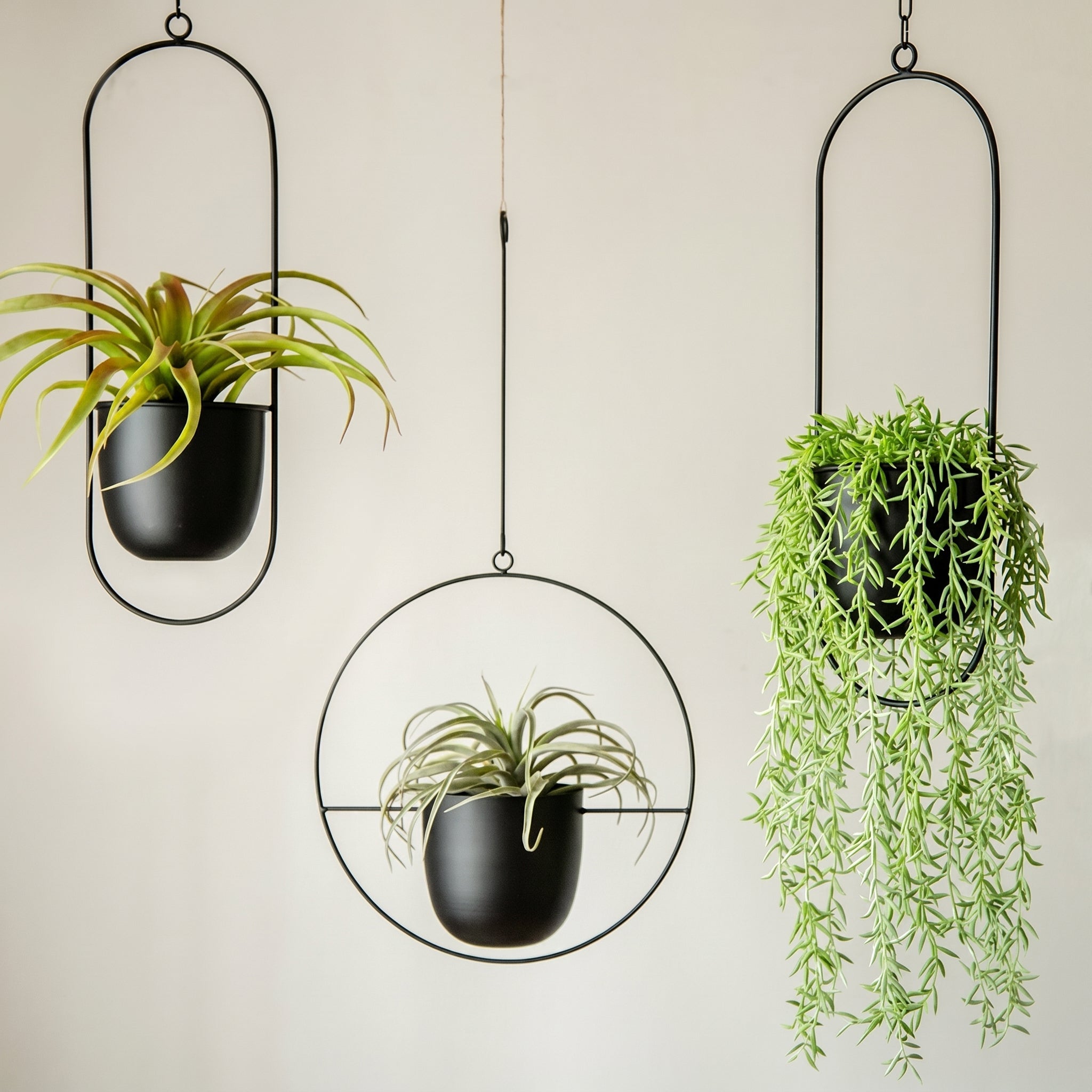 Hanging Plant Pot with Metal Frame - Plant Pot - Black - Oaksoho