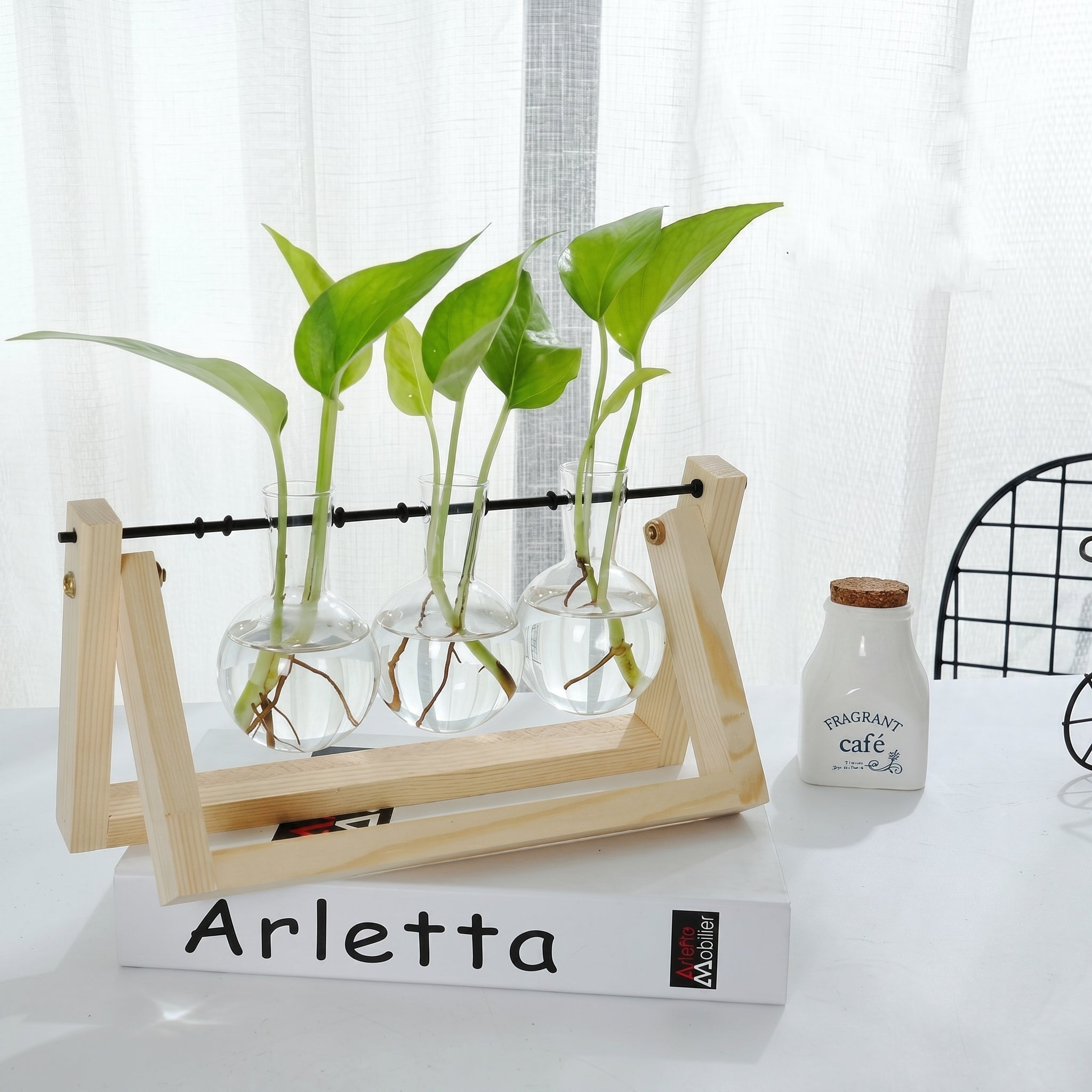 Hydroponic Glass Vase with Wooden Stand for Plants - Vases - Light Brown - Oaksoho