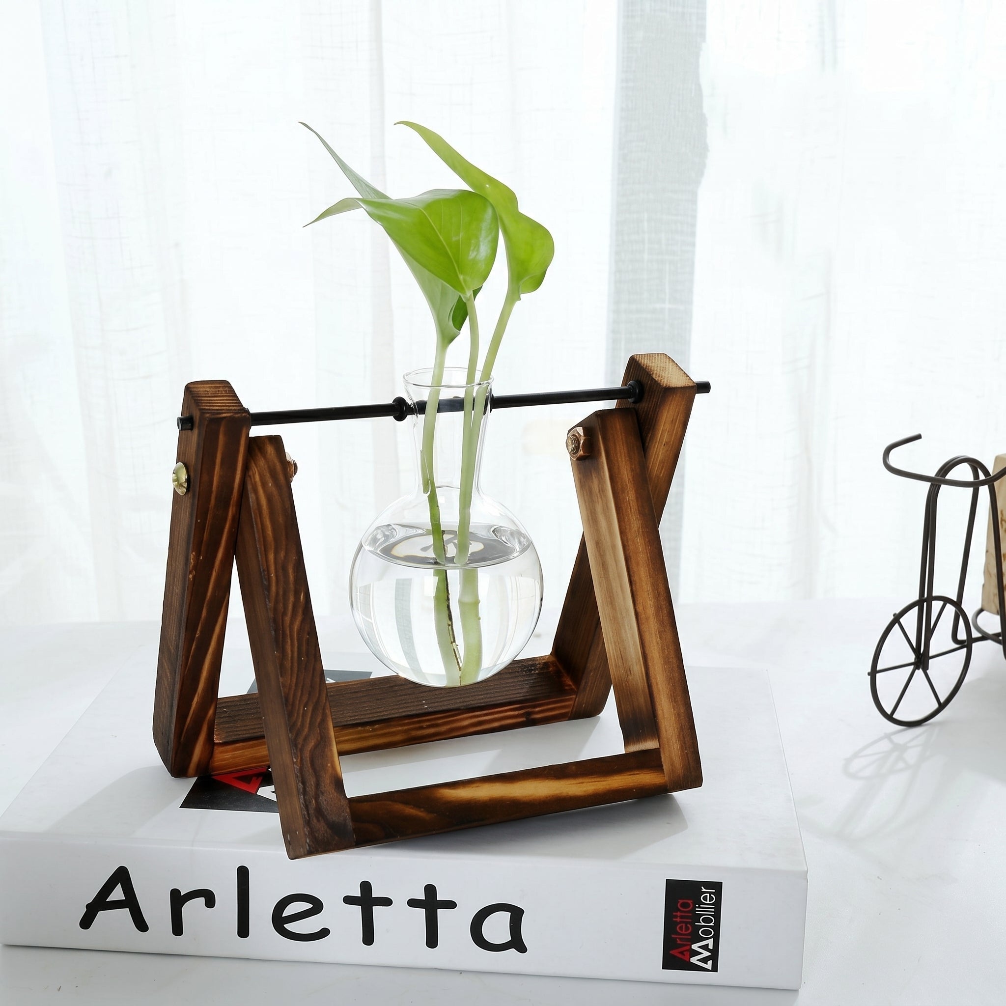 Hydroponic Glass Vase with Wooden Stand for Plants - Vases - Brown - Oaksoho