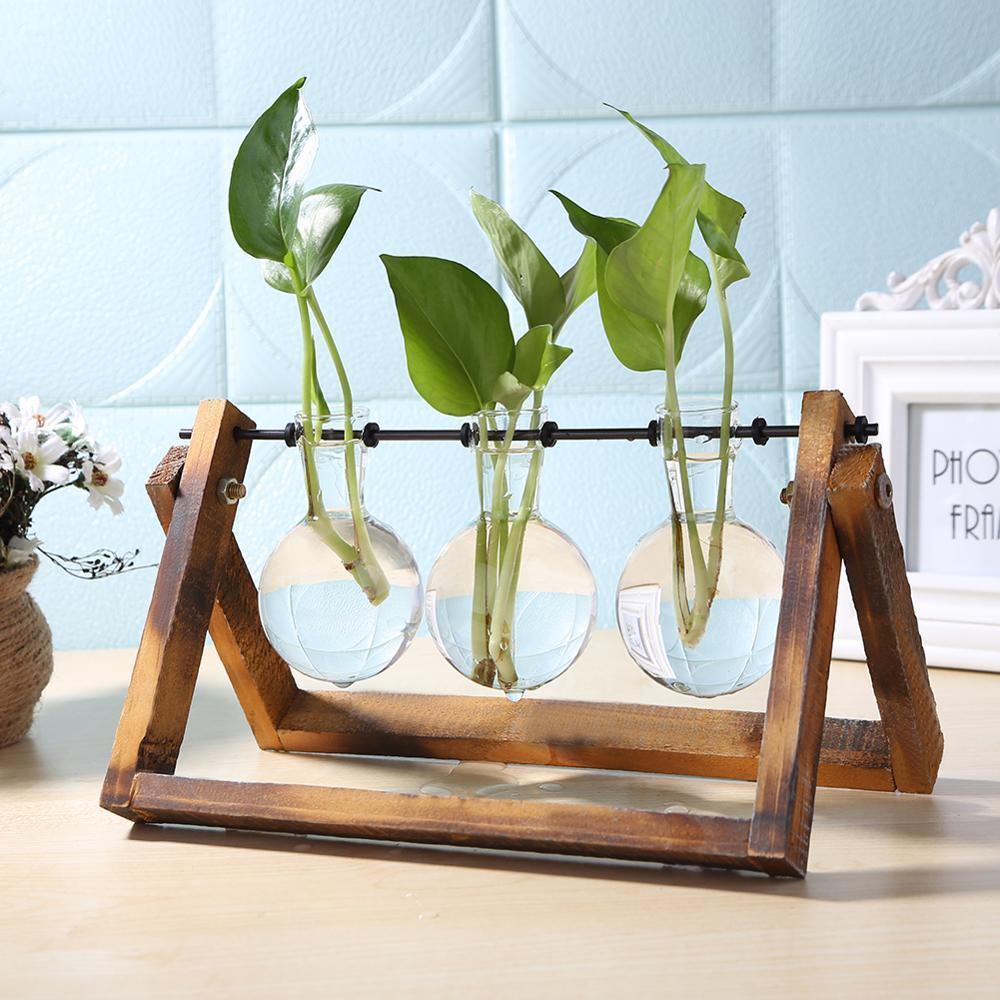Hydroponic Glass Vase with Wooden Stand for Plants - Vases - Brown - Oaksoho