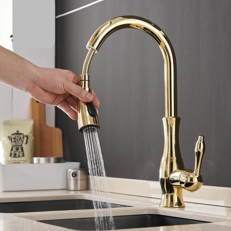 Kitchen Tap with Pull - Out Spray - Faucet - Gold - Oaksoho