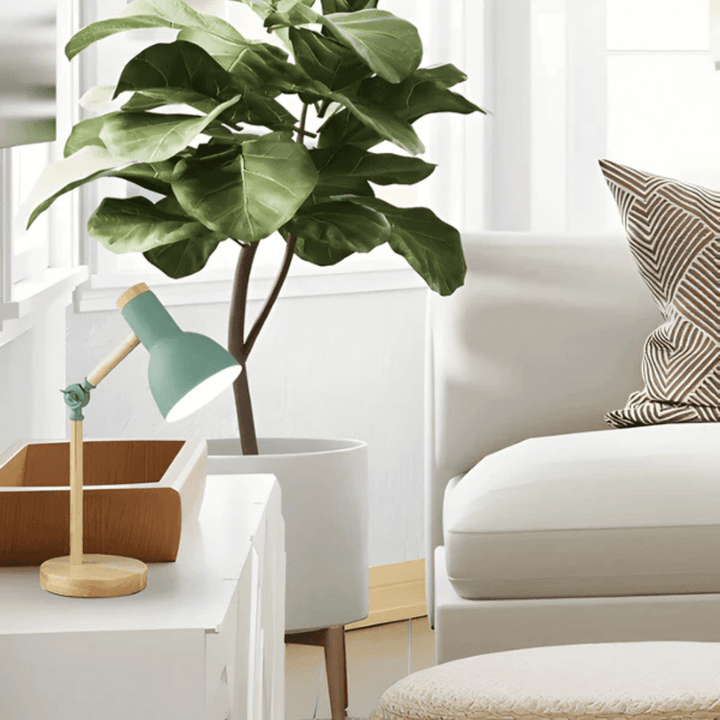 Adjustable LED Three - Colour Table Lamp - Tischlampe - Green - Oaksoho