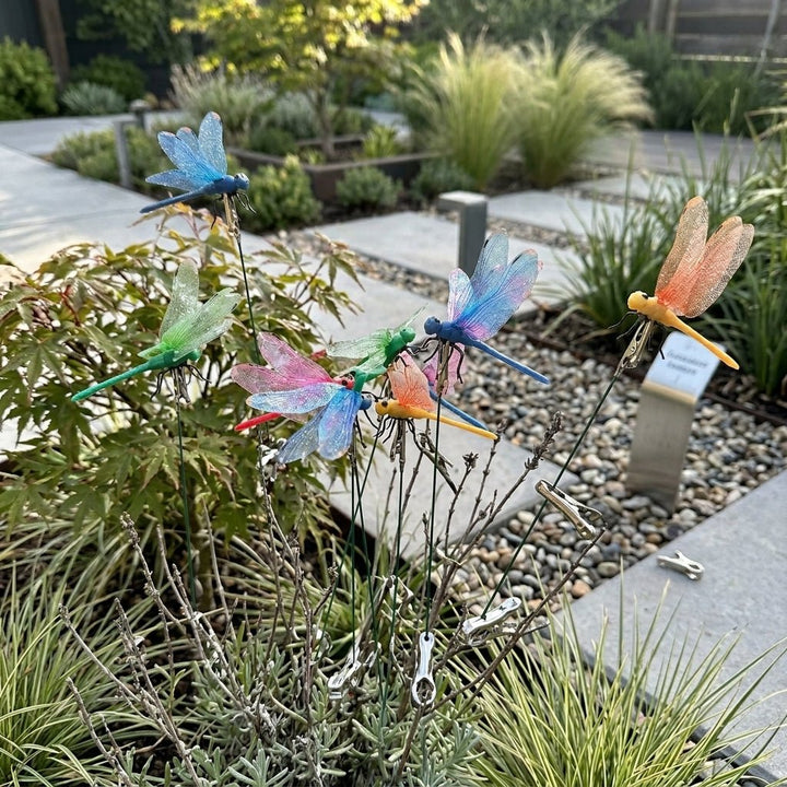 Colourful Dragonfly Garden Stakes with Clip Holder - Garden Stakes - Blue - Oaksoho