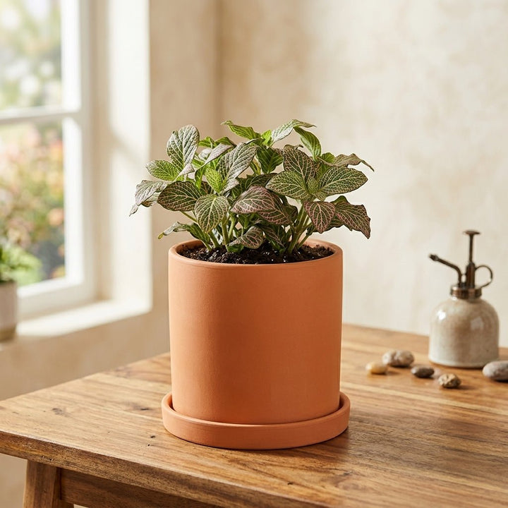 Cylindrical Modern Plant Pot - Plant Pot - Orange - Oaksoho