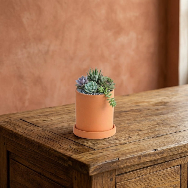 Cylindrical Modern Plant Pot - Plant Pot - Orange - Oaksoho