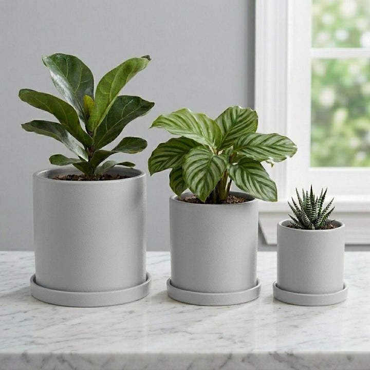 Cylindrical Modern Plant Pot - Plant Pot - Grey - Oaksoho