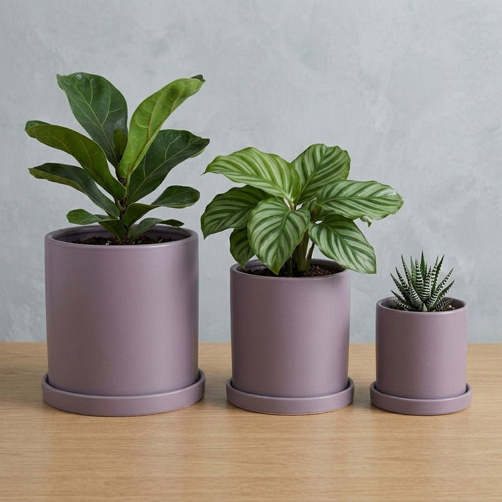 Cylindrical Modern Plant Pot - Plant Pot - Purple - Oaksoho