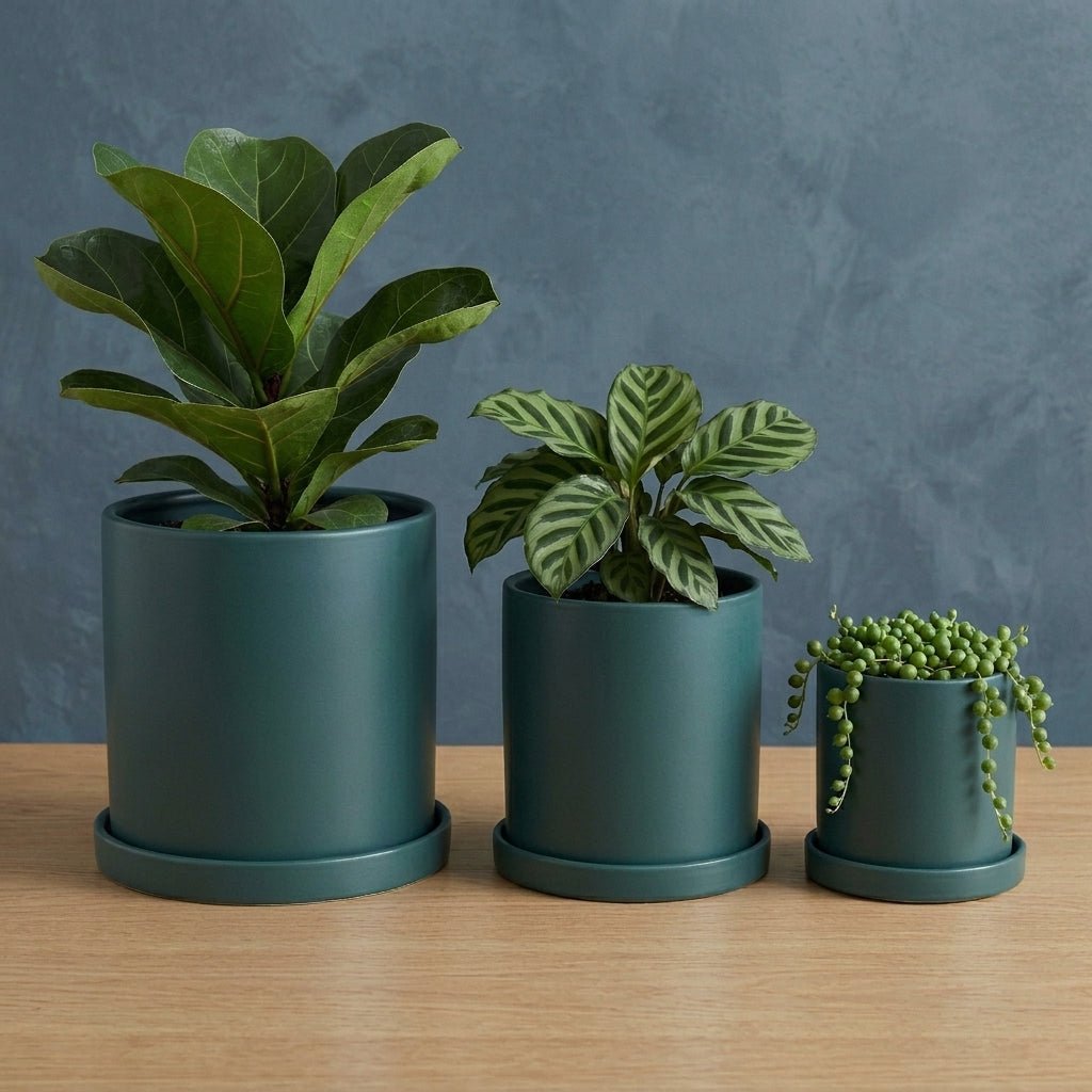 Cylindrical Modern Plant Pot - Plant Pot - Blue - Oaksoho