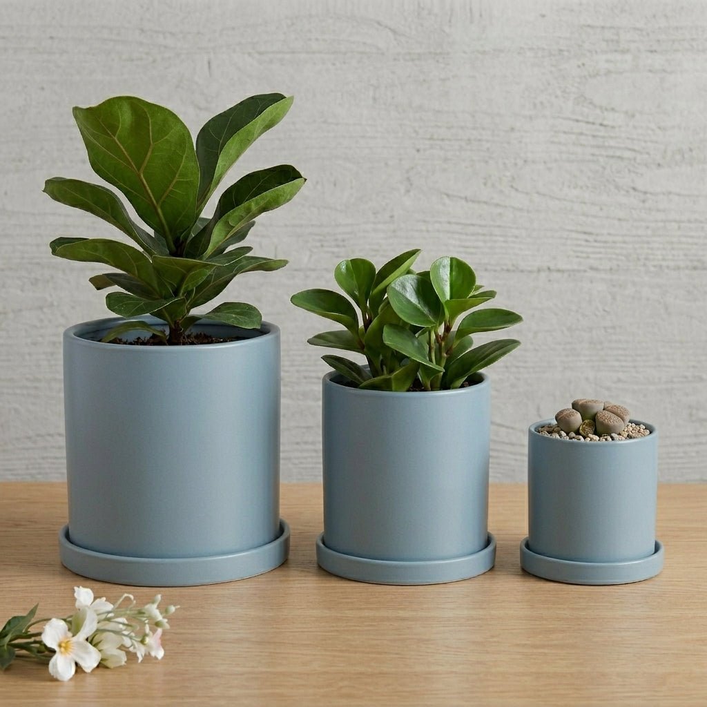 Cylindrical Modern Plant Pot - Plant Pot - Light Blue - Oaksoho