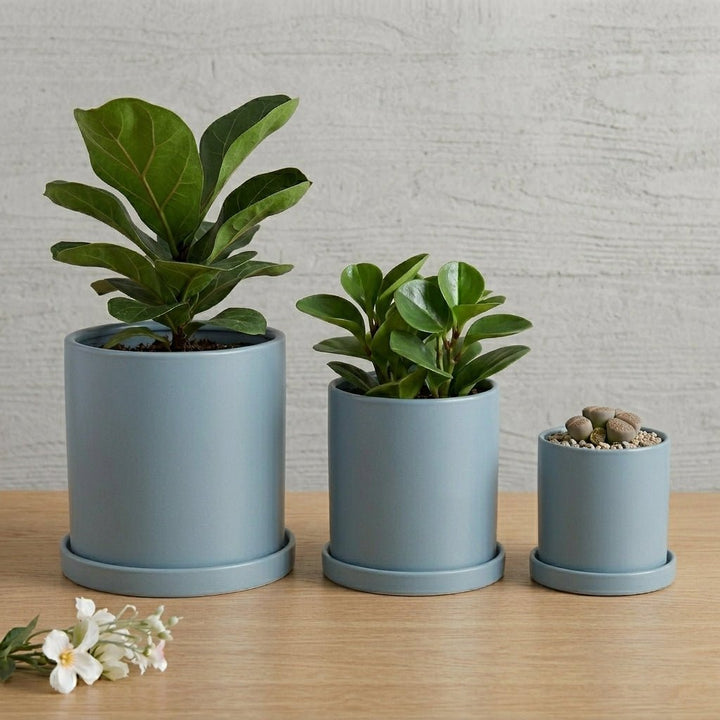 Cylindrical Modern Plant Pot - Plant Pot - Light Blue - Oaksoho