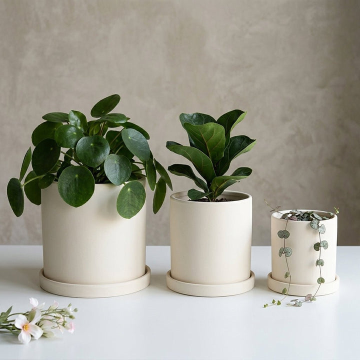 Cylindrical Modern Plant Pot - Plant Pot - White - Oaksoho