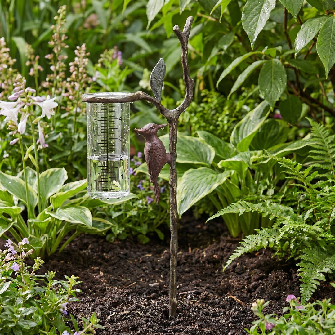 Decorative Garden Woodpecker Rain Gauge Stake - Rain Gage - Oaksoho