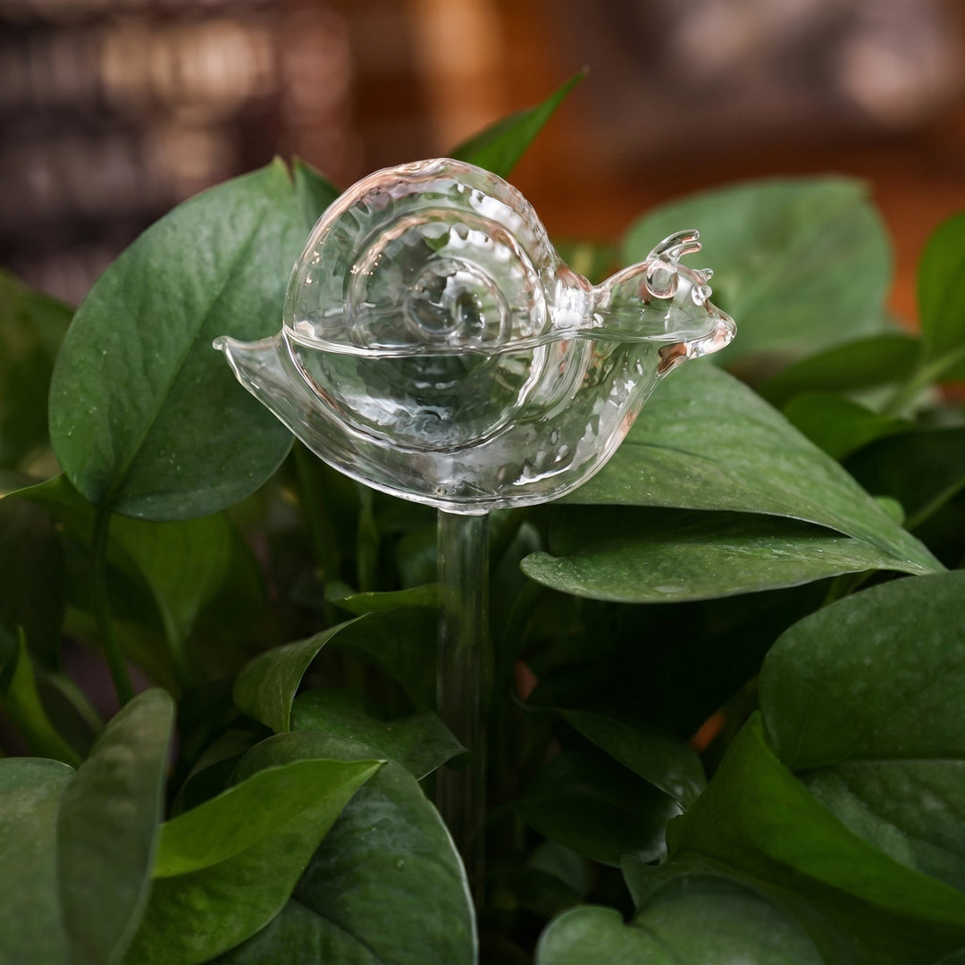 Glass Self - Watering Figure for Houseplants - Self - Watering - Snail - Oaksoho