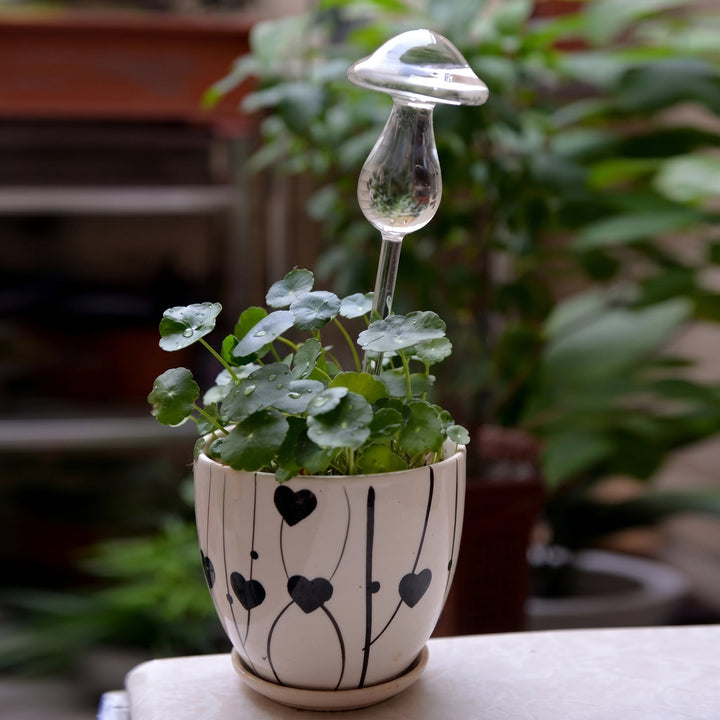 Glass Self - Watering Figure for Houseplants - Self - Watering - Mushroom - Oaksoho