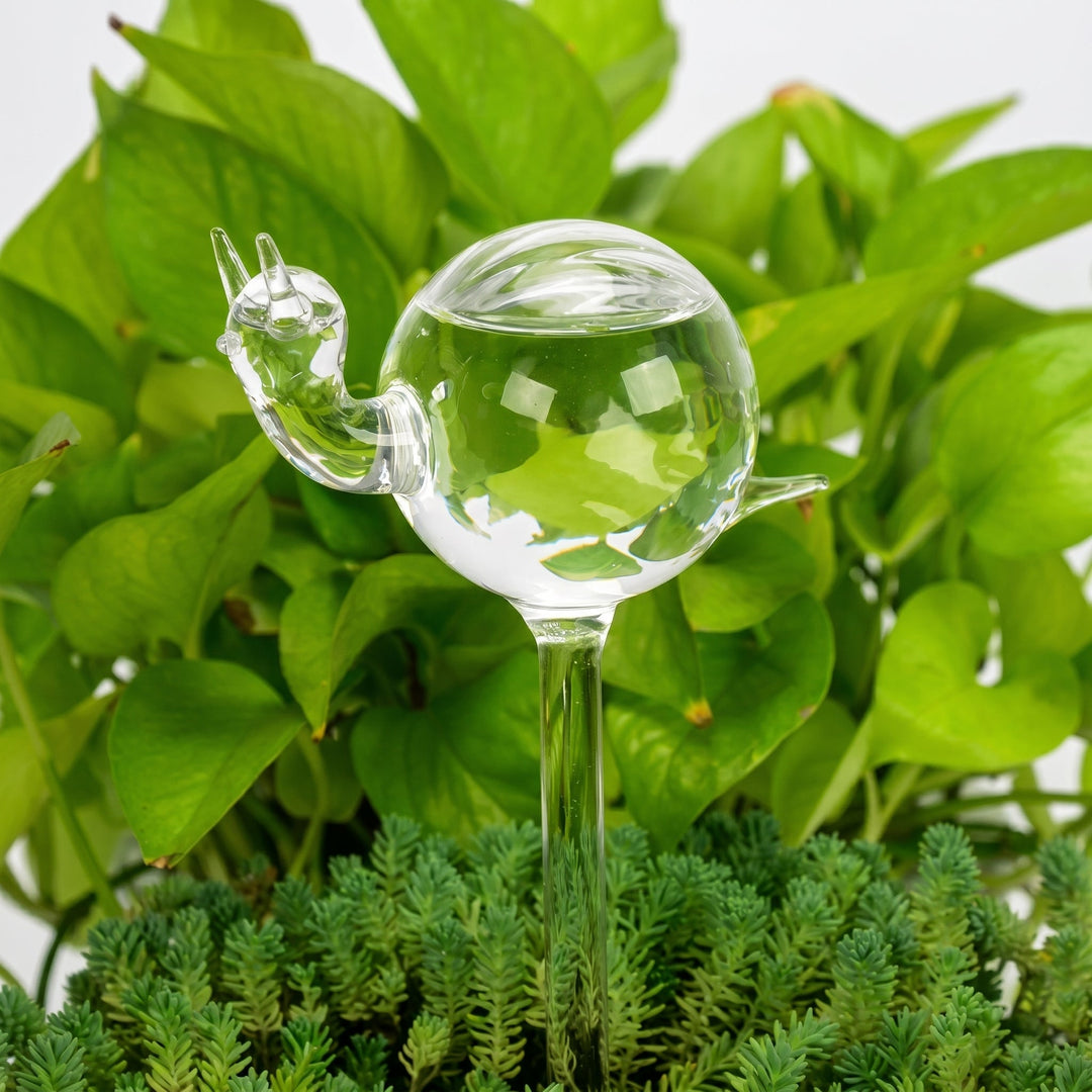 Glass Self - Watering Figure for Houseplants - Self - Watering - Snail - Oaksoho