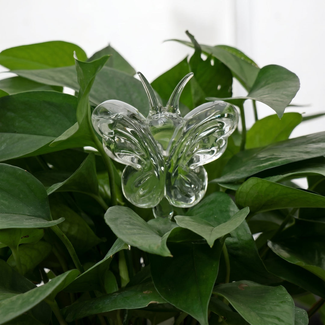 Glass Self - Watering Figure for Houseplants - Self - Watering - Butterfly - Oaksoho