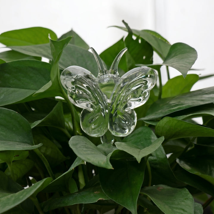Glass Self - Watering Figure for Houseplants - Self - Watering - Butterfly - Oaksoho