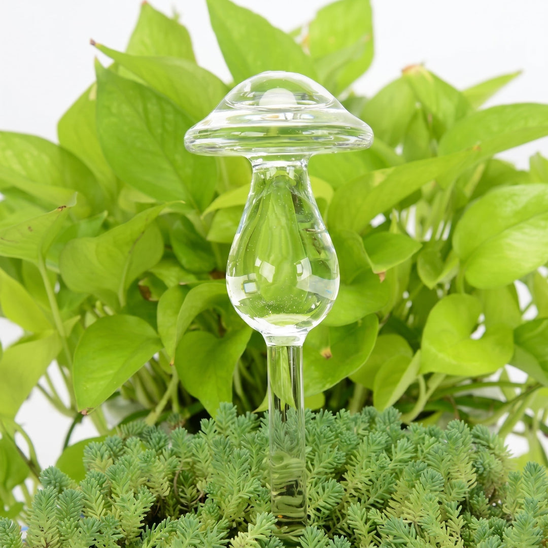 Glass Self - Watering Figure for Houseplants - Self - Watering - Mushroom - Oaksoho