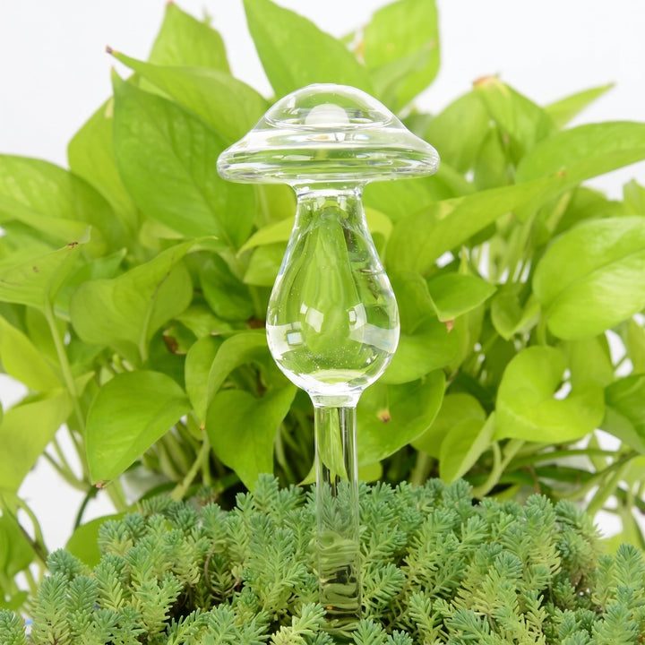 Glass Self - Watering Figure for Houseplants - Self - Watering - Mushroom - Oaksoho