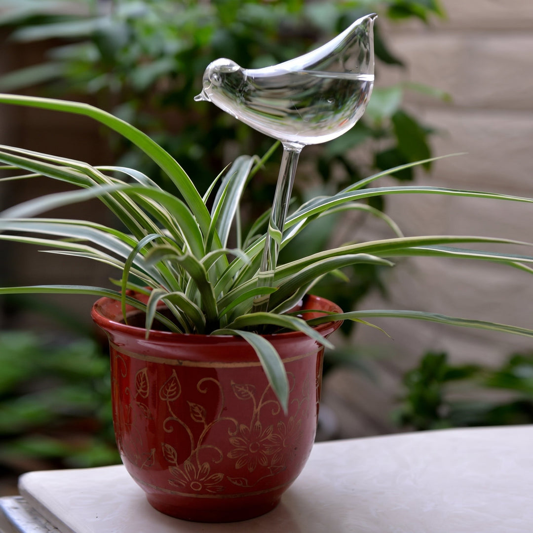 Glass Self - Watering Figure for Houseplants - Self - Watering - Bird - Oaksoho