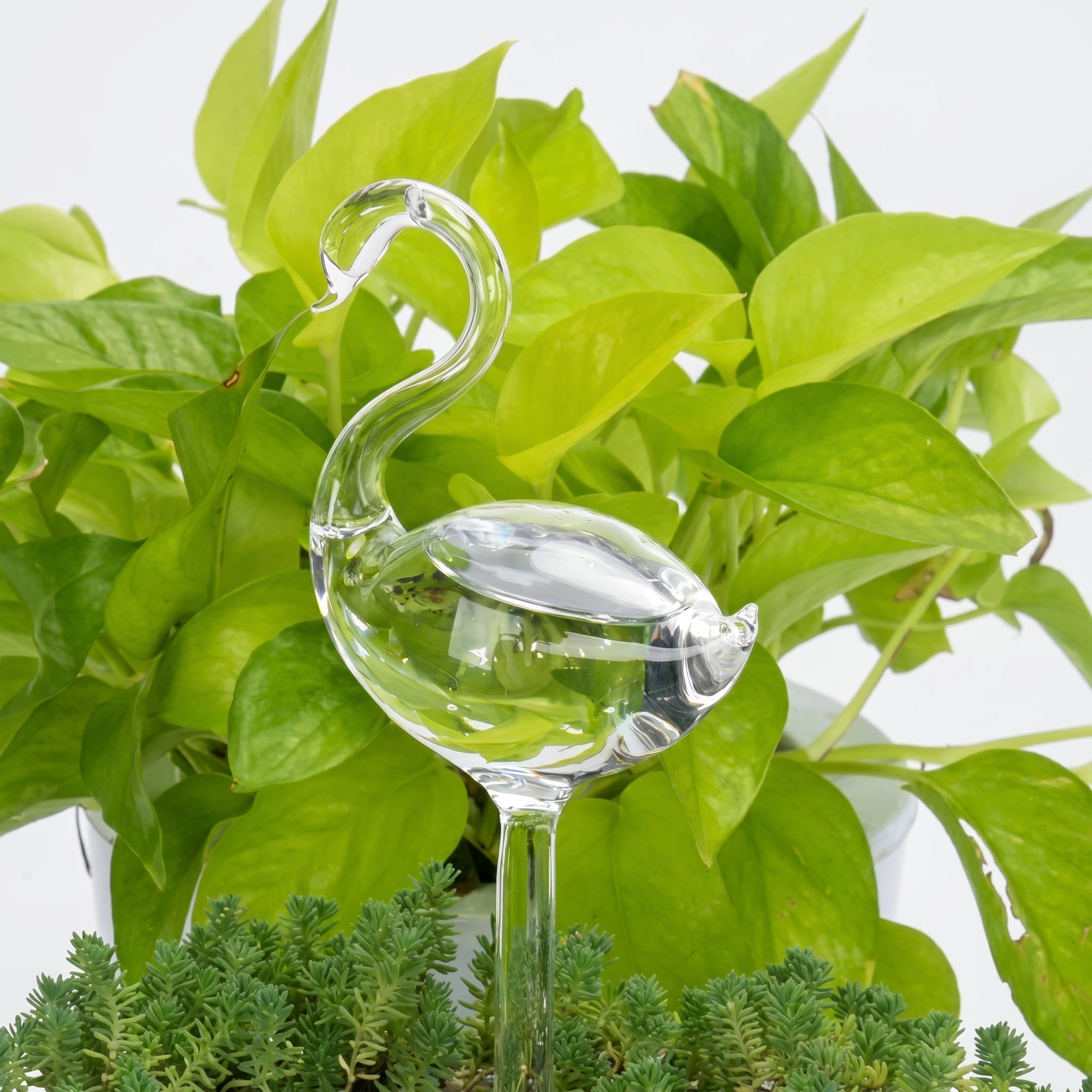 Glass Self - Watering Figure for Houseplants - Self - Watering - Flamingo - Oaksoho