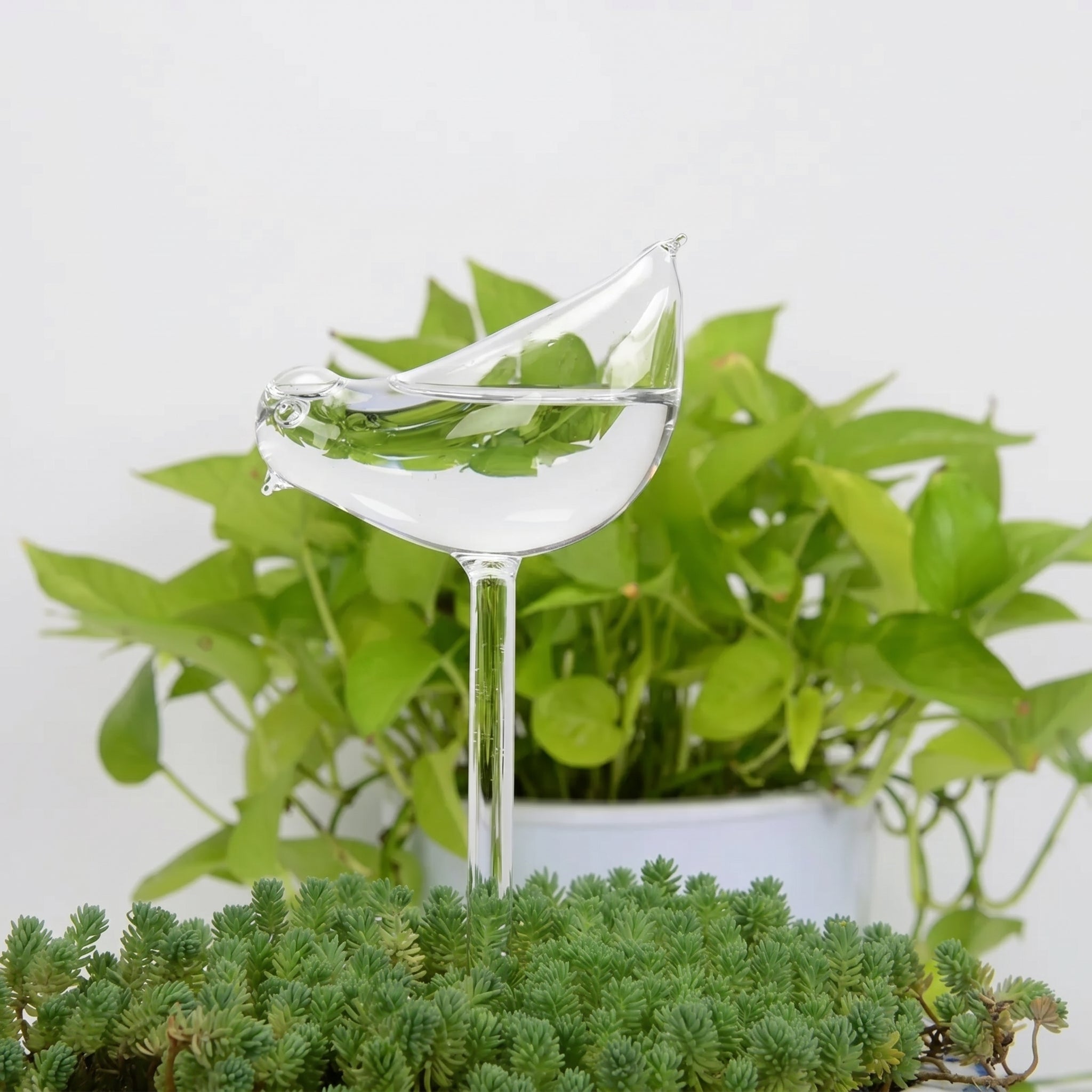 Glass Self - Watering Figure for Houseplants - Self - Watering - Bird - Oaksoho
