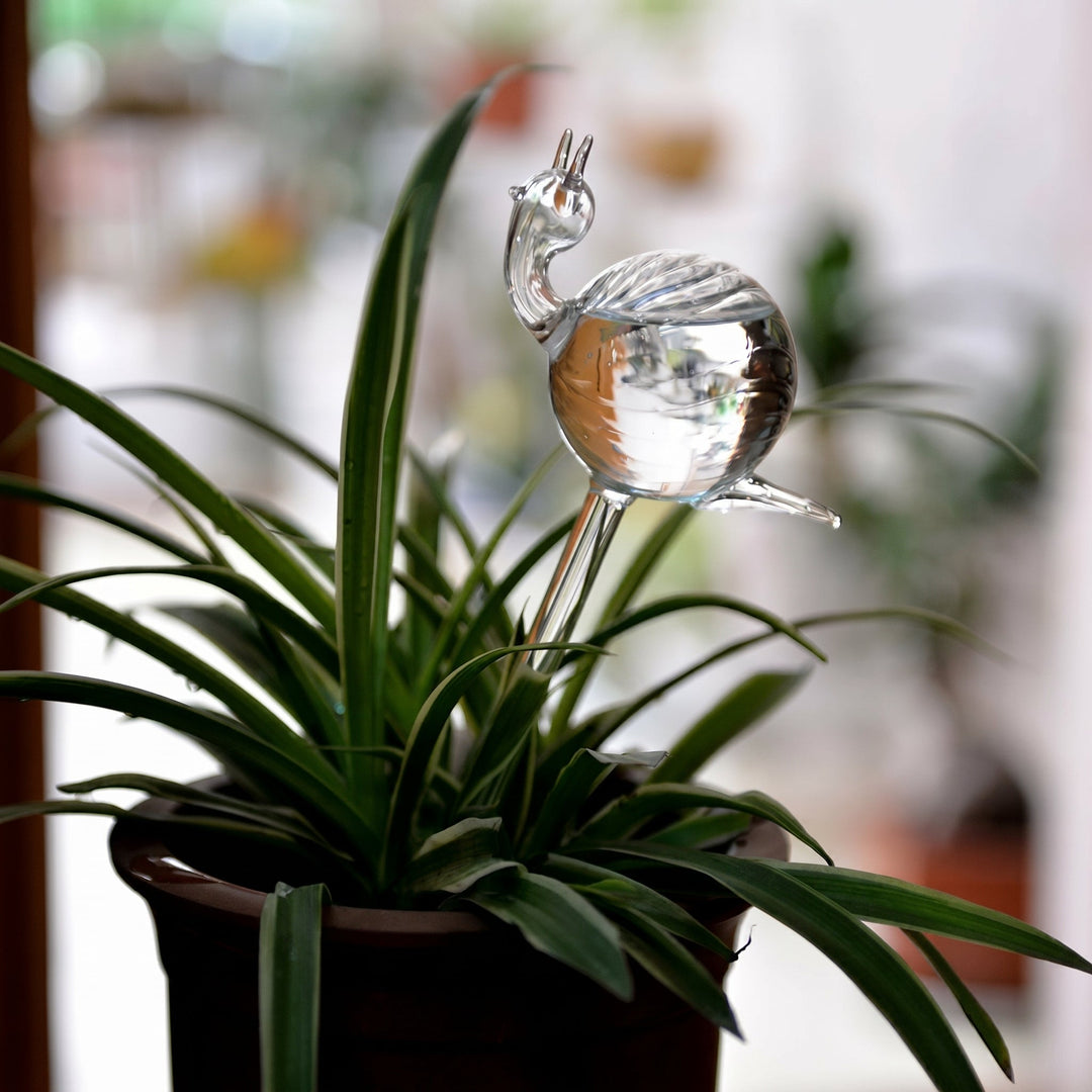 Glass Self - Watering Figure for Houseplants - Self - Watering - Snail - Oaksoho