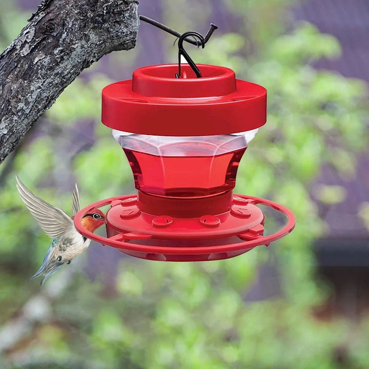 Hanging Water Bird Feeder - Bird Feeder - Oaksoho