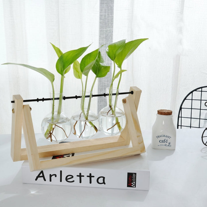 Hydroponic Glass Vase with Wooden Stand for Plants - Vases - Light Brown - Oaksoho