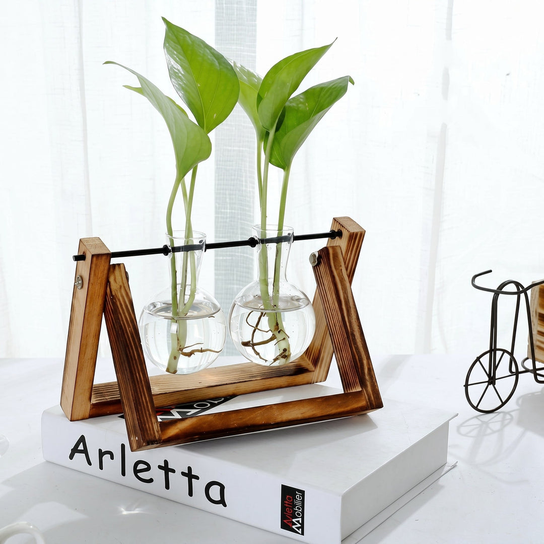 Hydroponic Glass Vase with Wooden Stand for Plants - Vases - Brown - Oaksoho