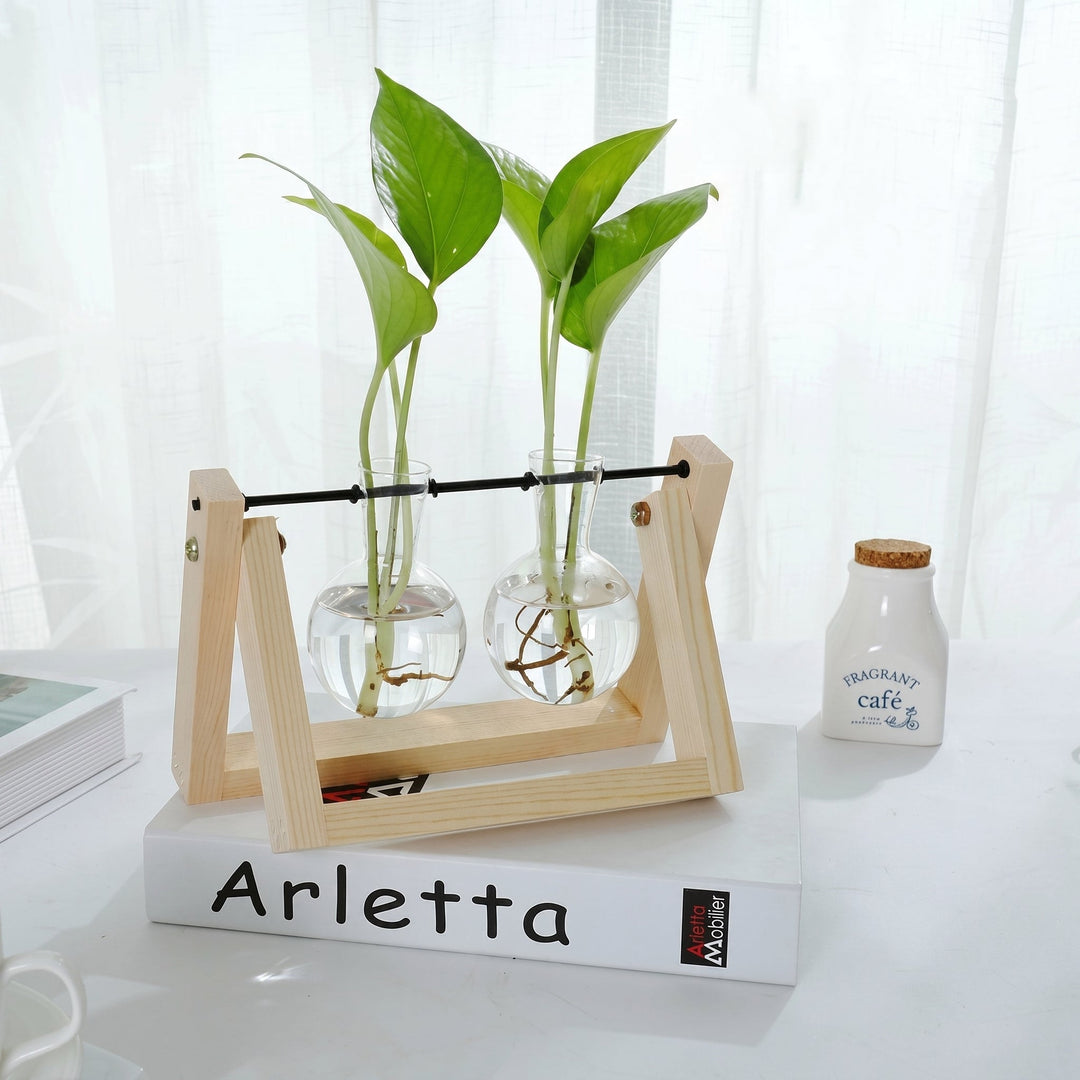 Hydroponic Glass Vase with Wooden Stand for Plants - Vases - Light Brown - Oaksoho