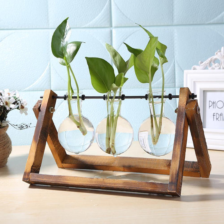Hydroponic Glass Vase with Wooden Stand for Plants - Vases - Brown - Oaksoho