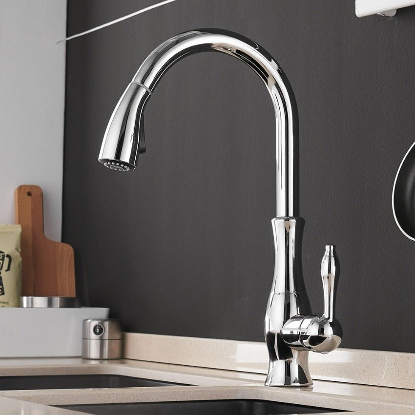 Kitchen Tap with Pull - Out Spray - Faucet - Silver - Oaksoho