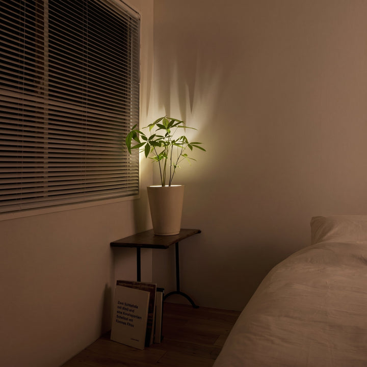 LED Wall Spotlight with Adjustable Head - Wall Light - Without Remote Control - Oaksoho