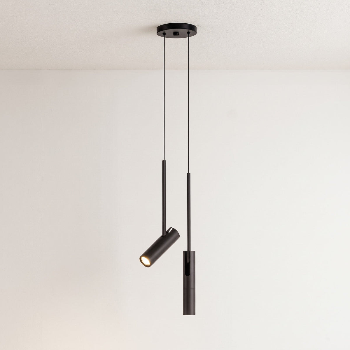 Slim Pendant Ceiling Light with Adjustable Spotlight Head - Pendant Light Fixtures - Black - Oak Soho