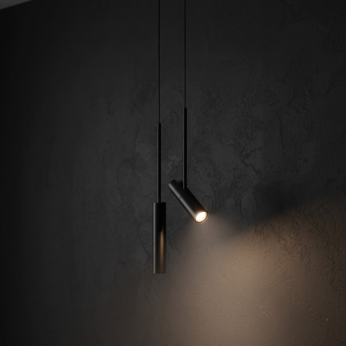 Slim Pendant Ceiling Light with Adjustable Spotlight Head - Pendant Light Fixtures - Black - Oak Soho