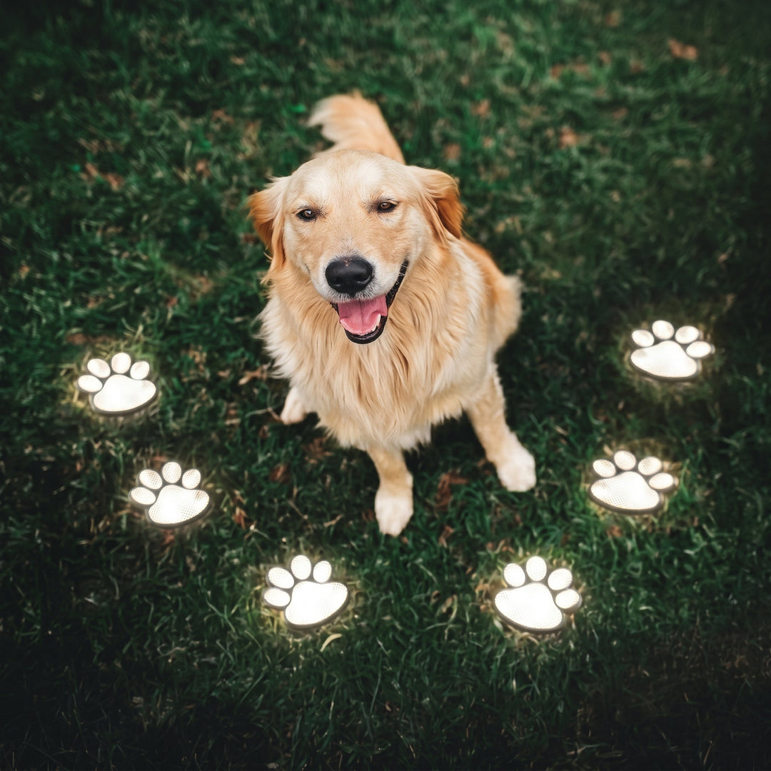Solar LED Garden Light with Paw Print Design - Garden Light - Coloured Light - Oaksoho
