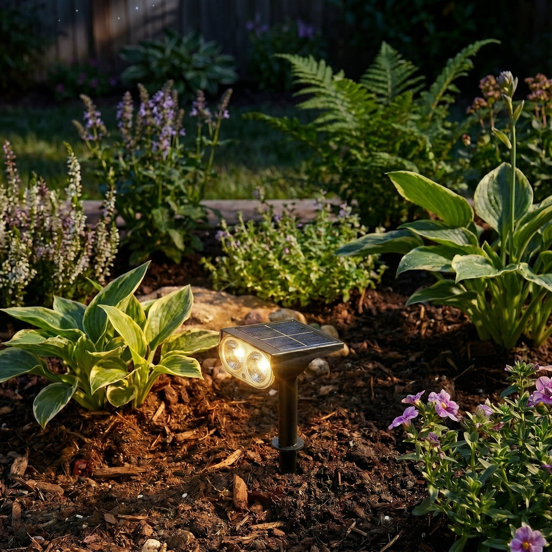 Solar LED Ground Spike Spotlight for Gardens and Pathways - Garden Light - Warm White - Oaksoho