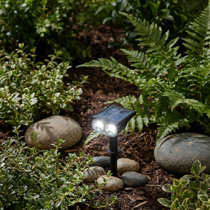 Solar LED Ground Spike Spotlight for Gardens and Pathways - Garden Light - Cool White - Oaksoho