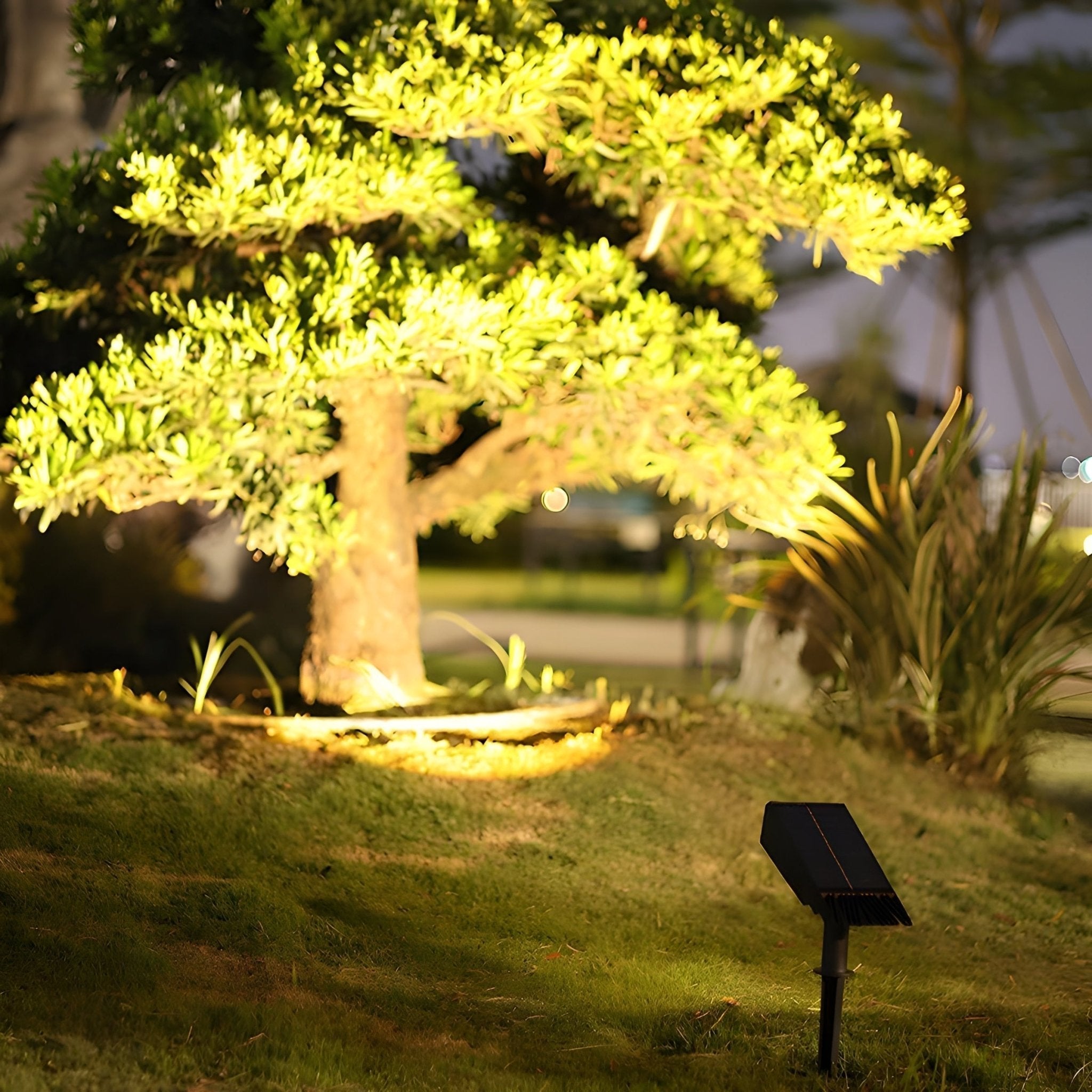 Solar LED Ground Spike Spotlight for Gardens and Pathways - Garden Light - RGB - Oaksoho