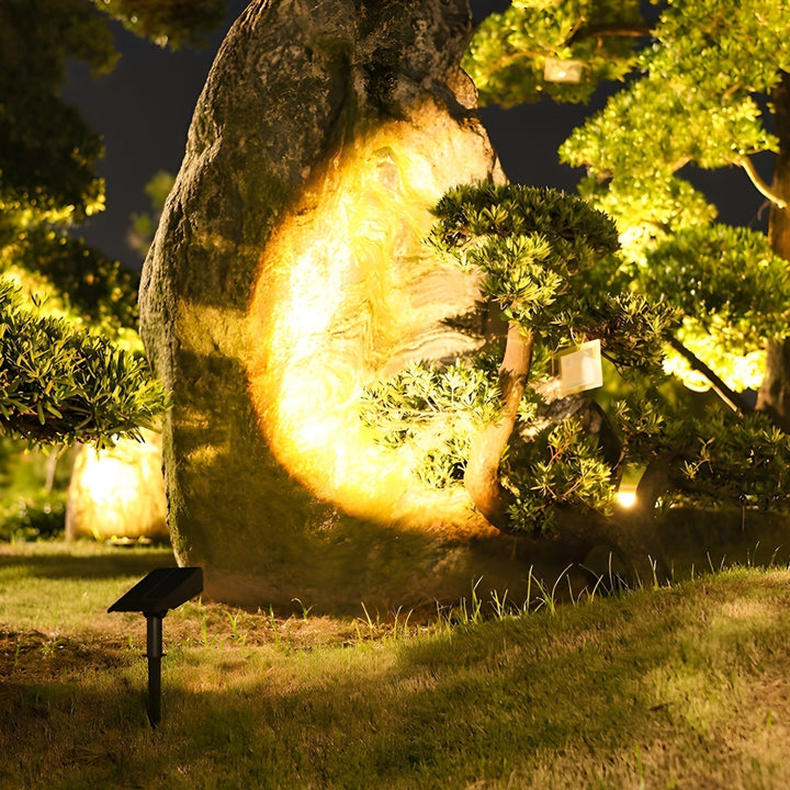 Solar LED Ground Spike Spotlight for Gardens and Pathways - Garden Light - RGB - Oaksoho