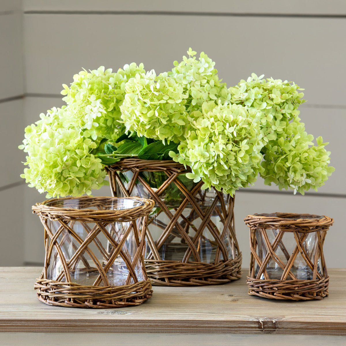 Vase with Braided Structure for Natural Decorations - Vases - Oaksoho